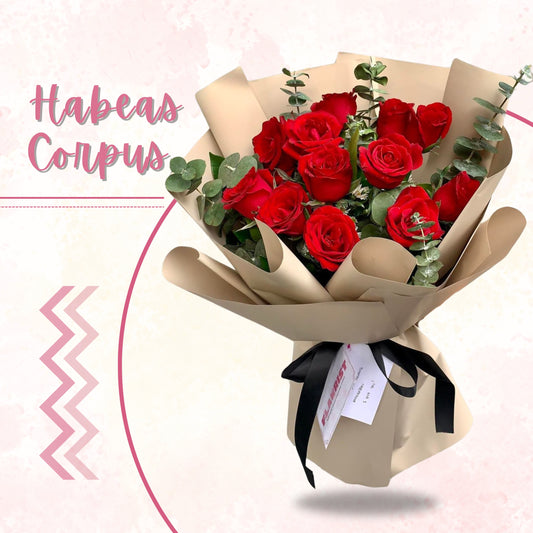 Habeas Corpus 1