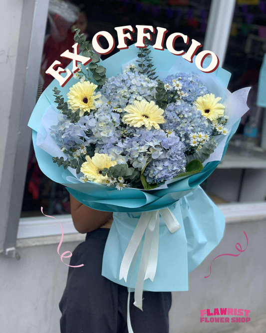 Ex Officio