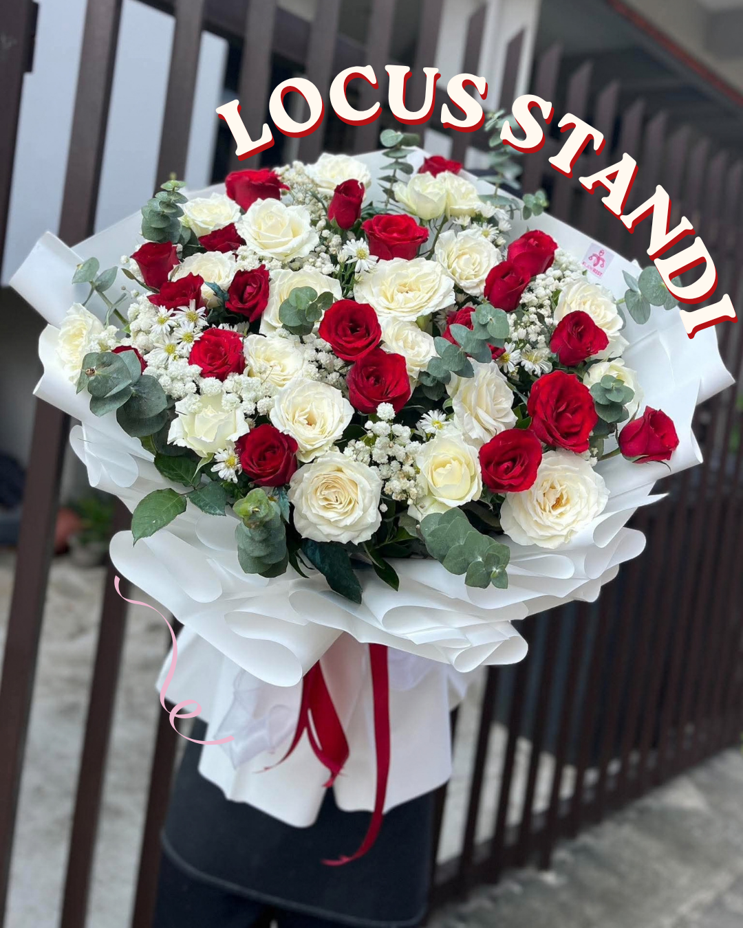Locus Standi